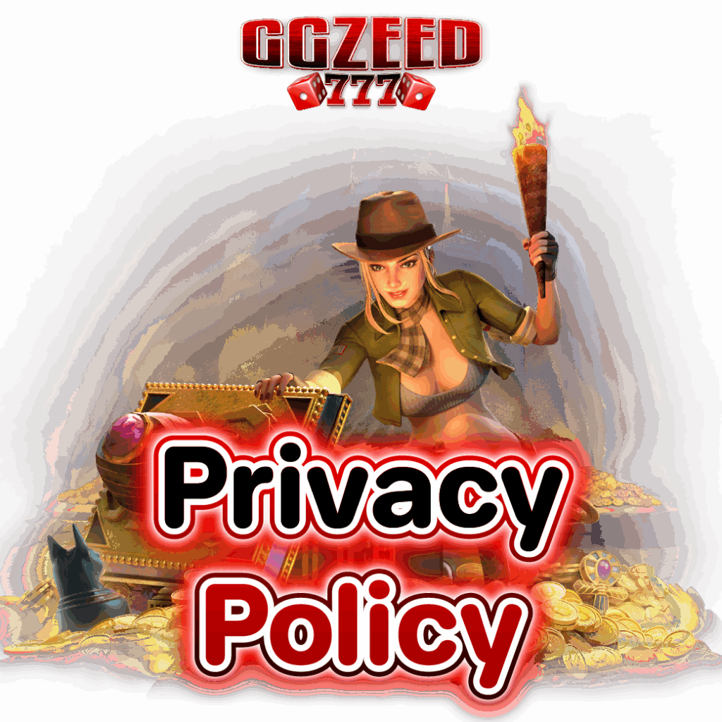 privacy policy