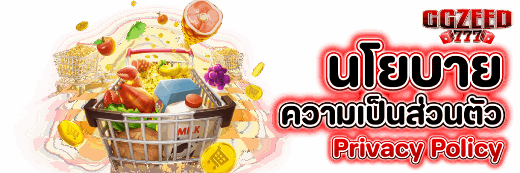 นโยบายความเป็นส่วนตัว